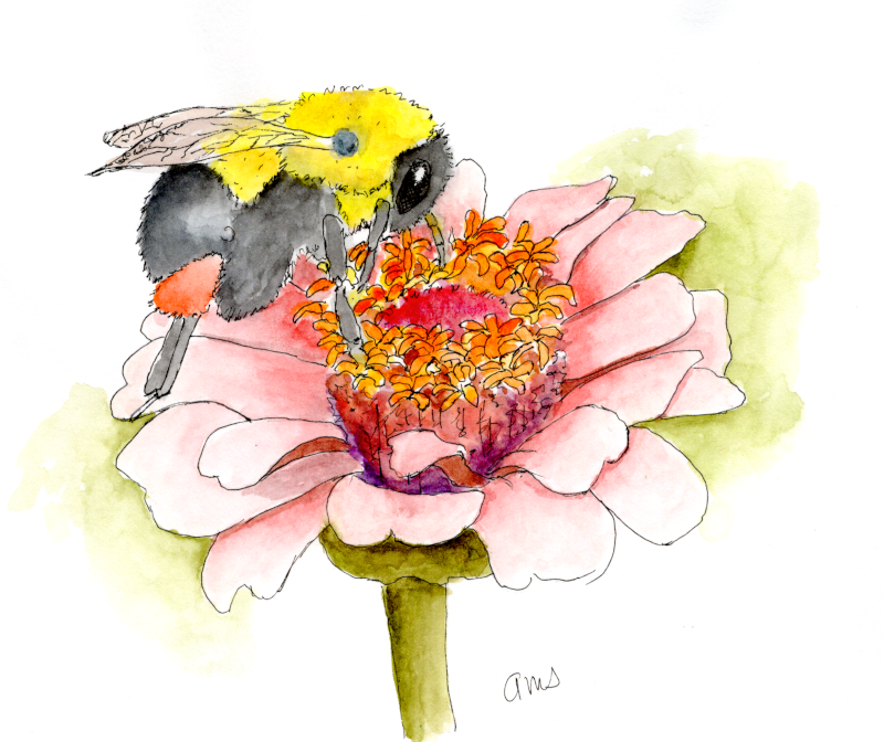 20250906SK10 Néctar de fiesta (PP) .png