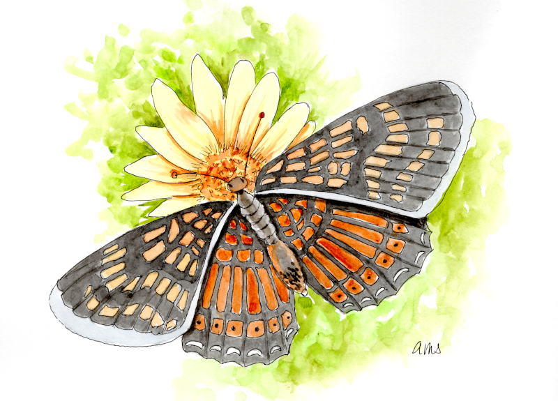 20250925SK10 Flor amarilla (PP) .png