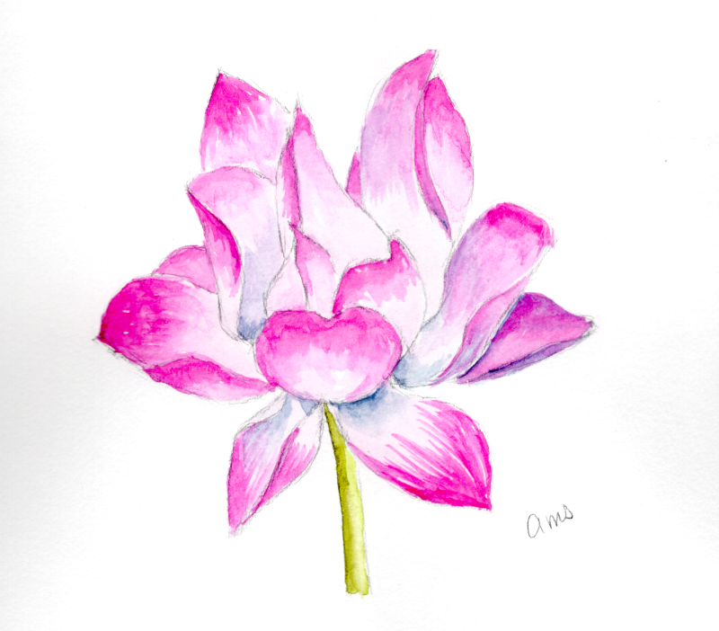 20260104Sk10 Loto(PP).png