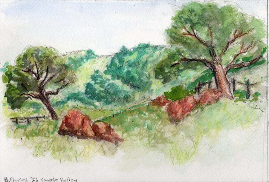 Valle del Coyote26.jpg