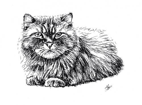 Gato de tinta.jpg Gato de tinta.jpg