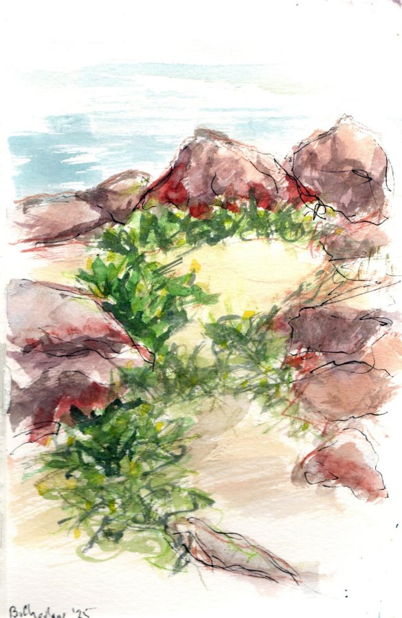 Rocas en Pillar Point Harbor 25 de diciembre.jpg