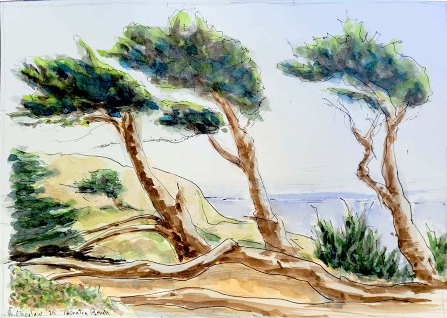 Thornton Beach 25 de octubre