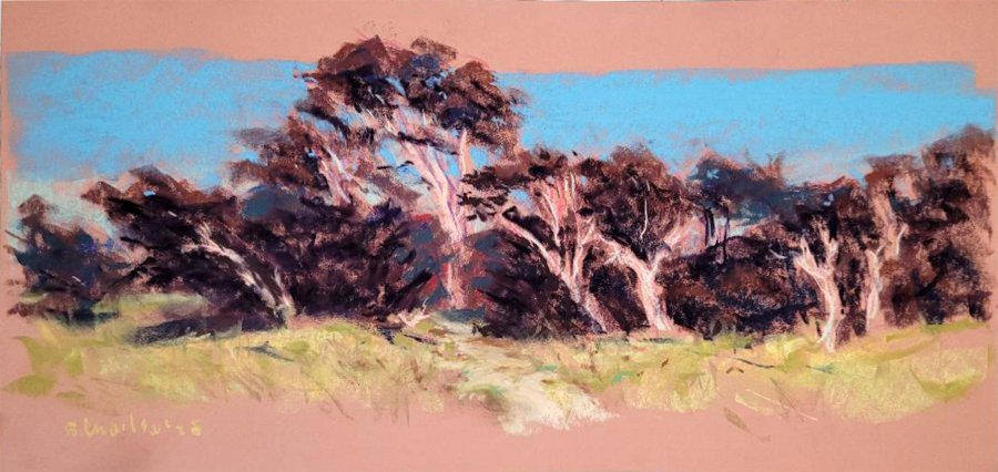 Wavecrest PTBE fuera del túnel 25 de noviembre.jpg